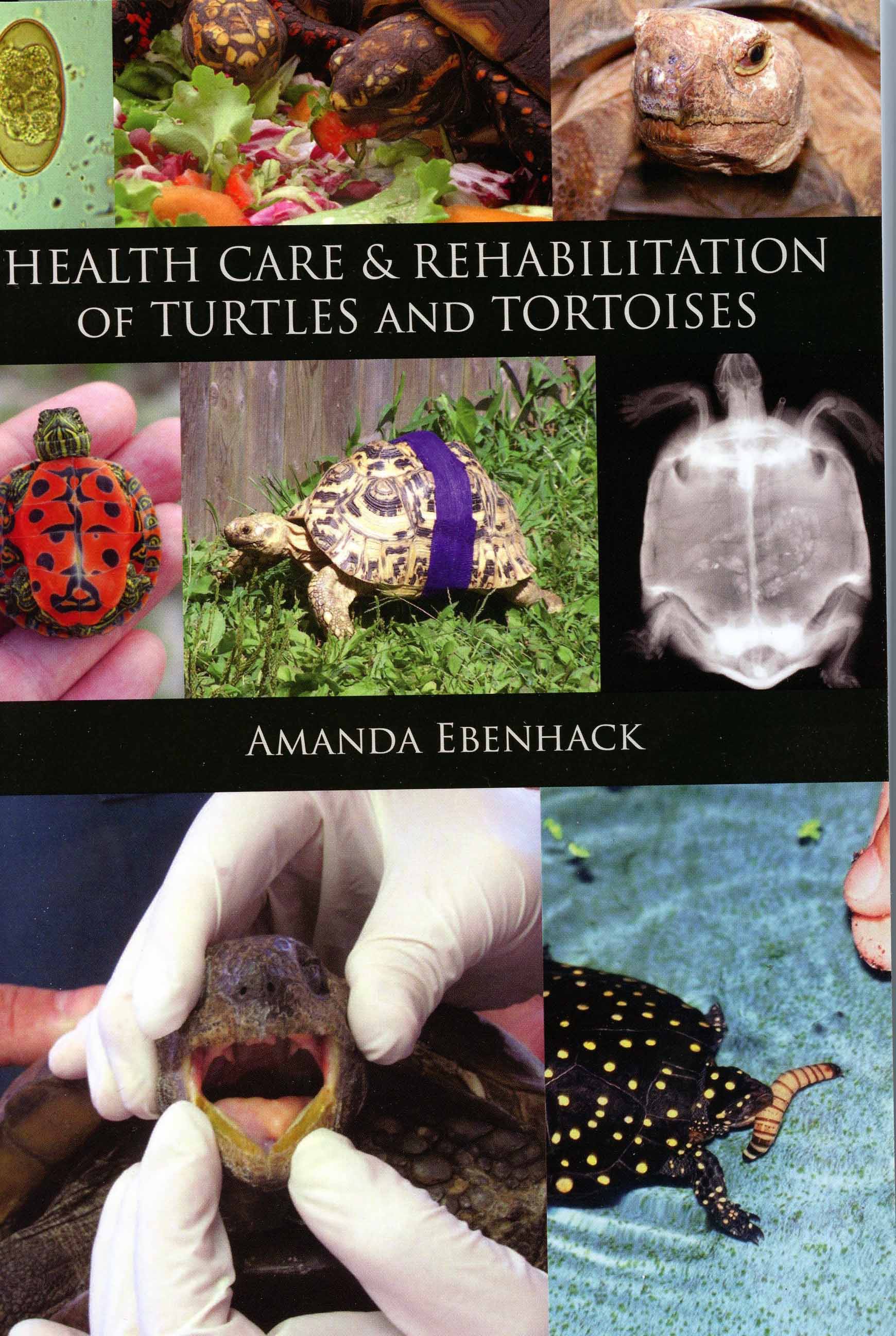 Image for Health Care & Rehabilitation of Turtles and Tortoises,